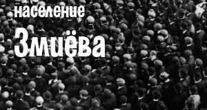 Население Змиёва