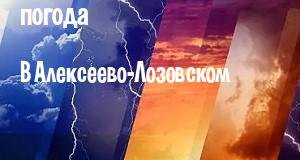 Погода в Алексеево-Лозовском