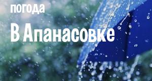 Погода в Апанасовке