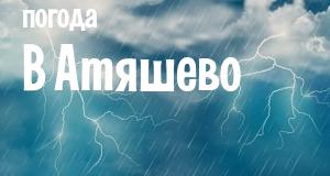 Погода в Атяшево