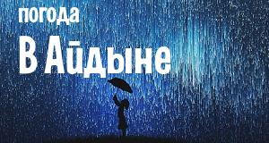 Погода в Айдыне