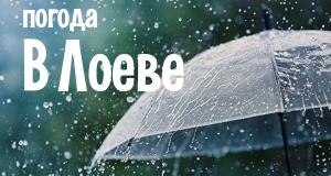 Погода в Лоеве