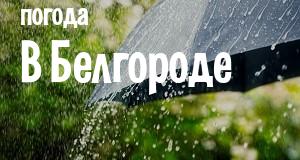 Погода в Белгороде