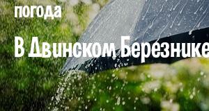 Погода в Двинском Березнике