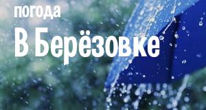 Погода в Берёзовке