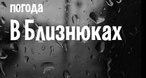 Погода в Близнюках