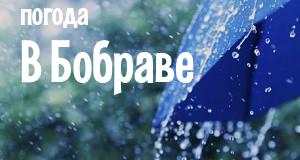 Погода в Бобраве