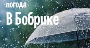 Погода в Бобрике