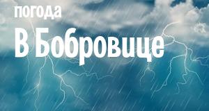 Погода в Бобровице