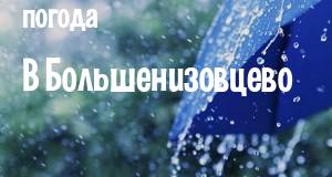 Погода в Большенизовцево