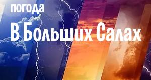 Погода в Больших Салах