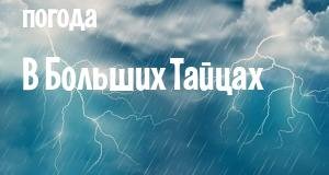 Погода в Больших Тайцах