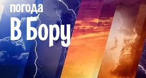 Погода в Бору