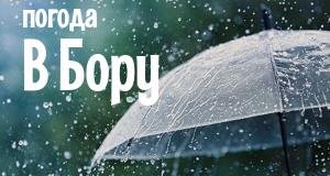 Погода в Бору