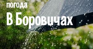 Погода в Боровичах