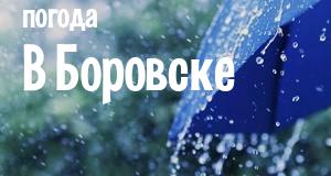 Погода в Боровске