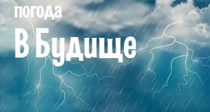 Погода в Будище