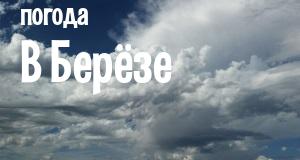 Погода в Берёзе