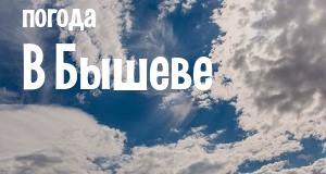 Погода в Бышеве