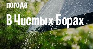 Погода в Чистых Борах