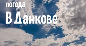 Погода в Данкове