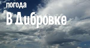 Погода в Дибровке