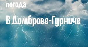 Погода в Домброве-Гурниче
