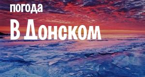 Погода в Донском