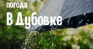Погода в Дубовке