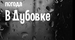 Погода в Дубовке