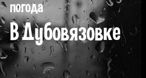 Погода в Дубовязовке