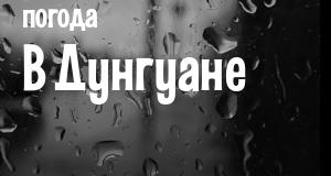 Погода в Дунгуане