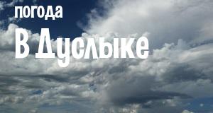 Погода в Дуслыке