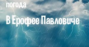 Погода в Ерофее Павловиче