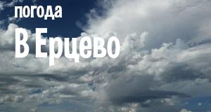 Погода в Ерцево