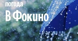 Погода в Фокино