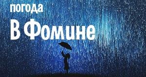 Погода в Фомине