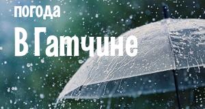 Погода в Гатчине
