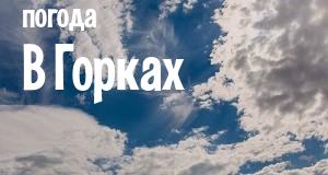 Погода в Горках