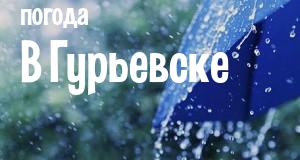 Погода в Гурьевске
