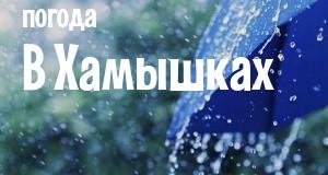 Погода в Хамышках