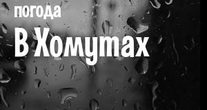 Погода в Хомутах