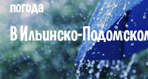 Погода в Ильинско-Подомском