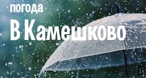 Погода в Камешково