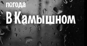 Погода в Камышном
