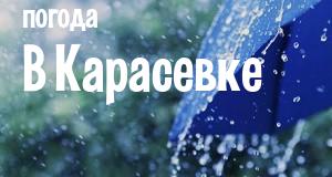 Погода в Карасевке