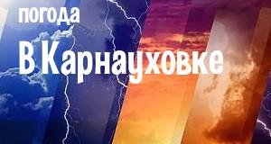 Погода в Карнауховке