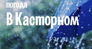 Погода в Касторном