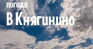 Погода в Княгинино