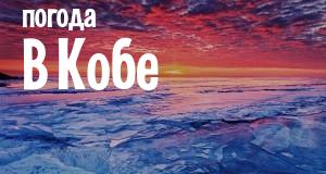 Погода в Кобе